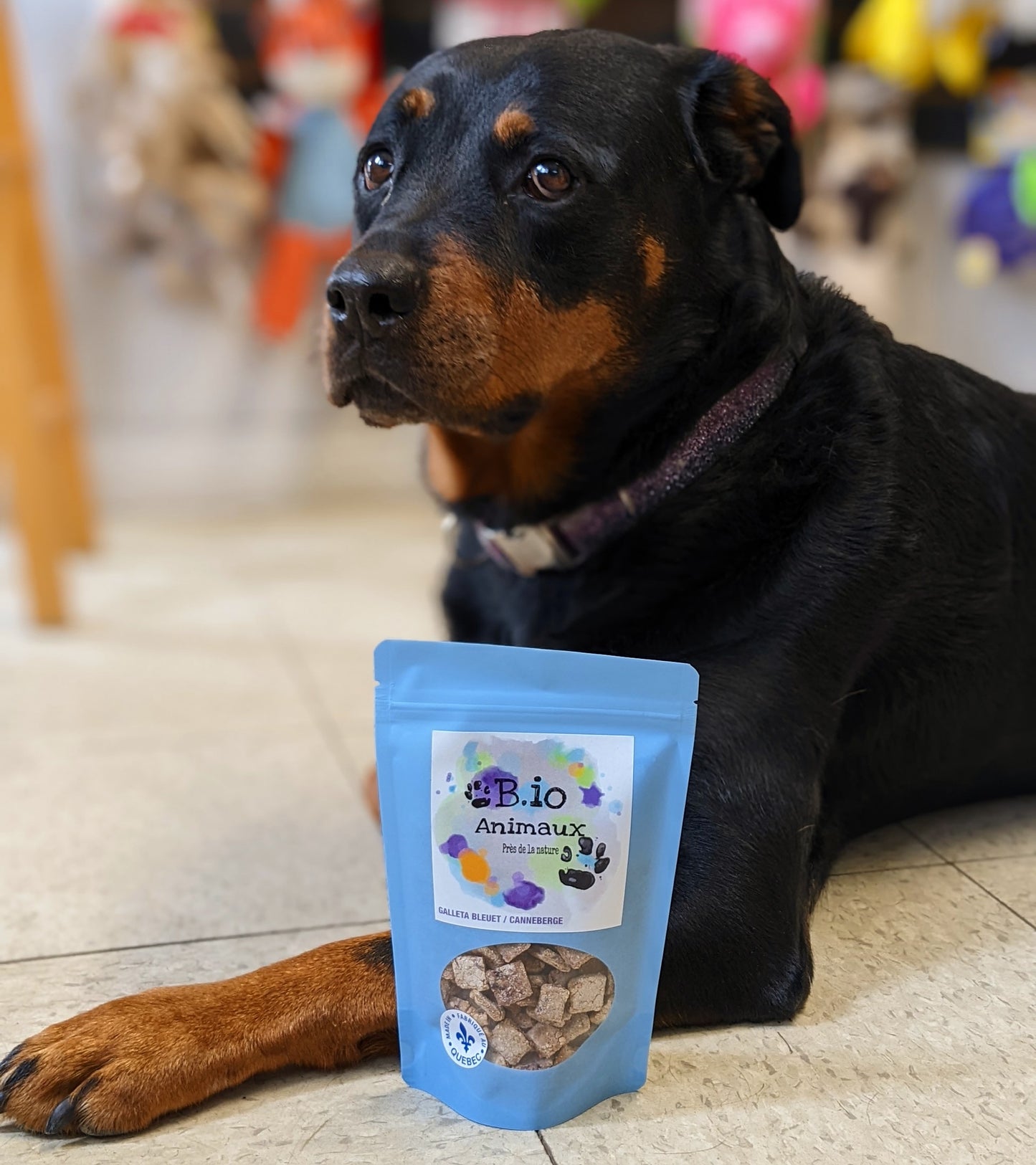 Gâteries pour chiens - Galleta bleuet et canneberge