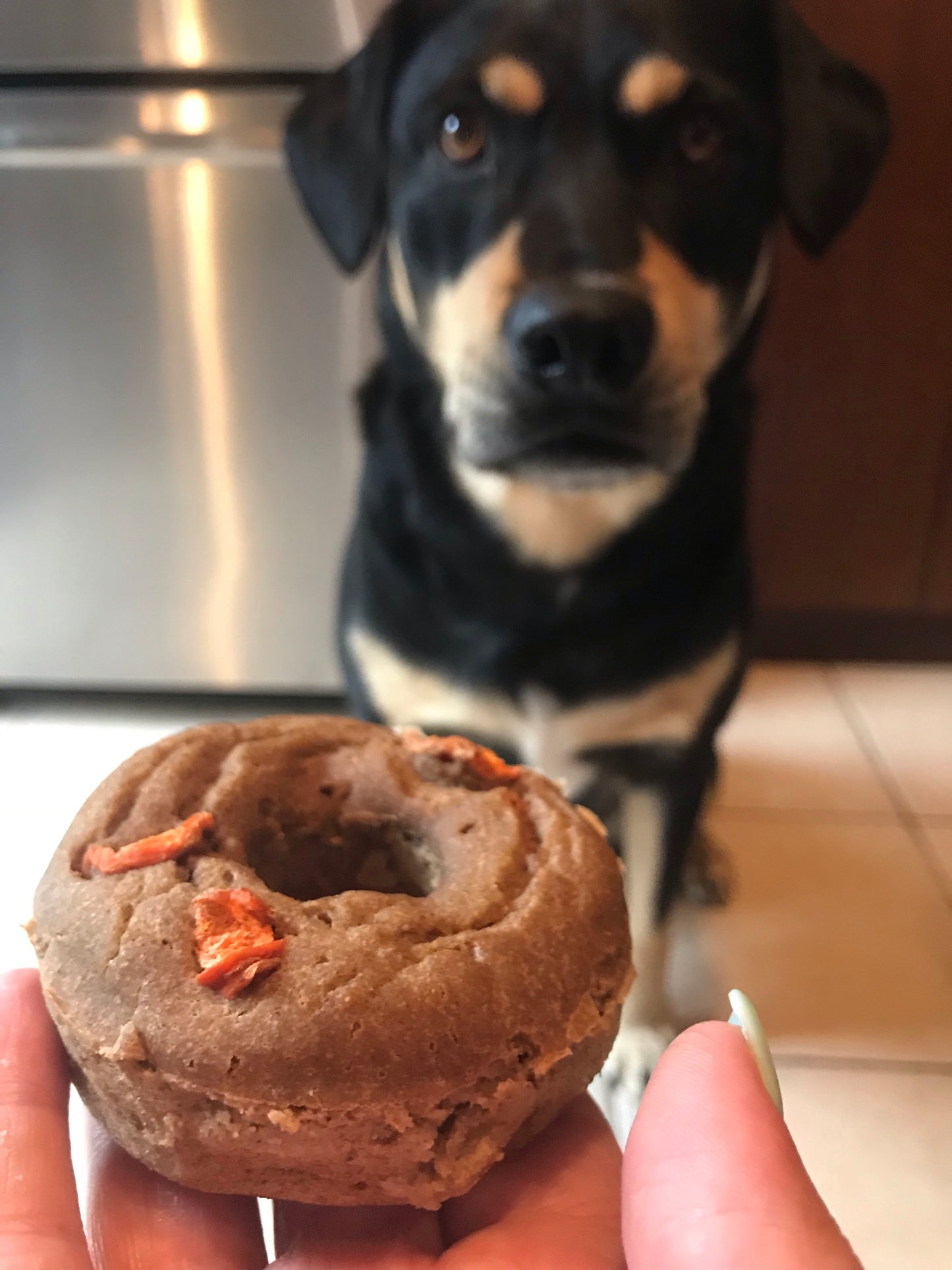 Cake Mix - Dog Treats