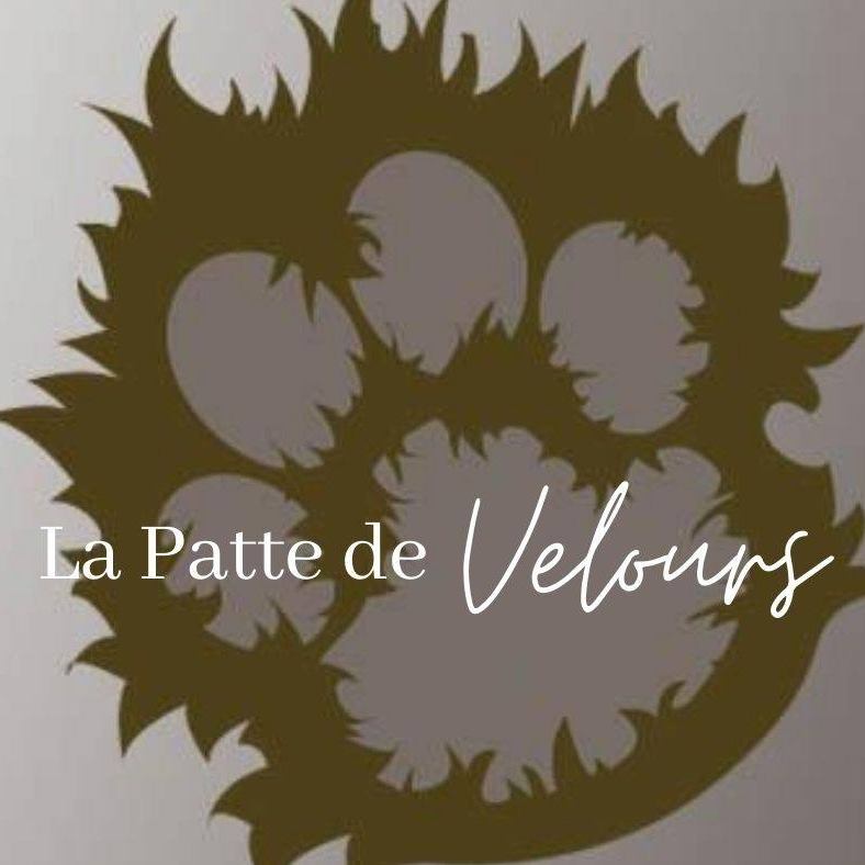 Logo La patte de Velours