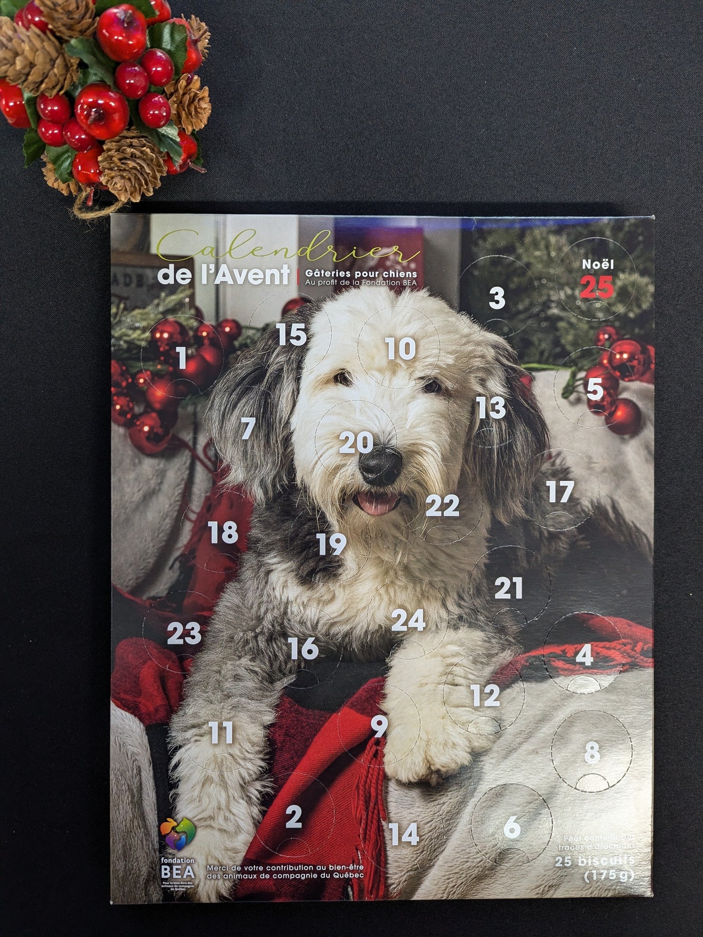 Calendrier de l'avent chien/chat