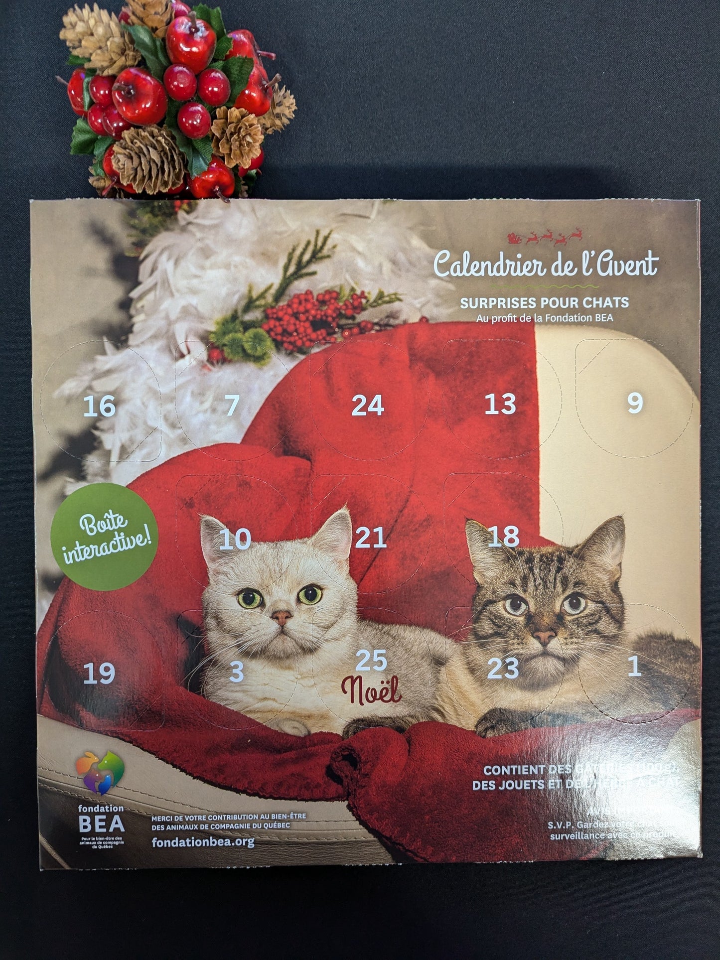 Calendrier de l'avent chien/chat